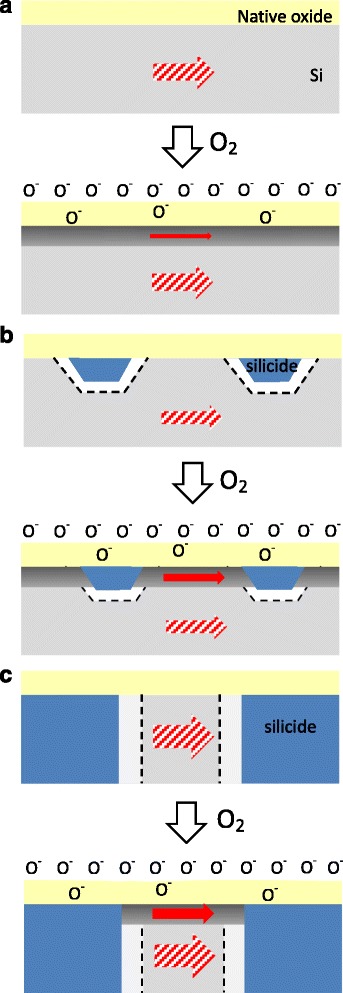 Fig. 9