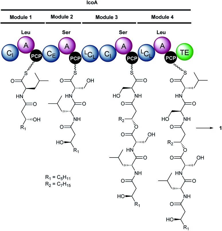 Fig. 2