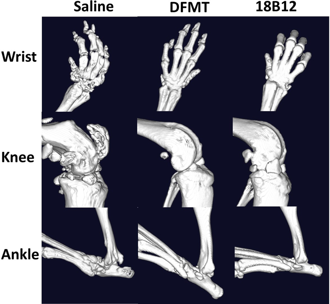 Figure 6.