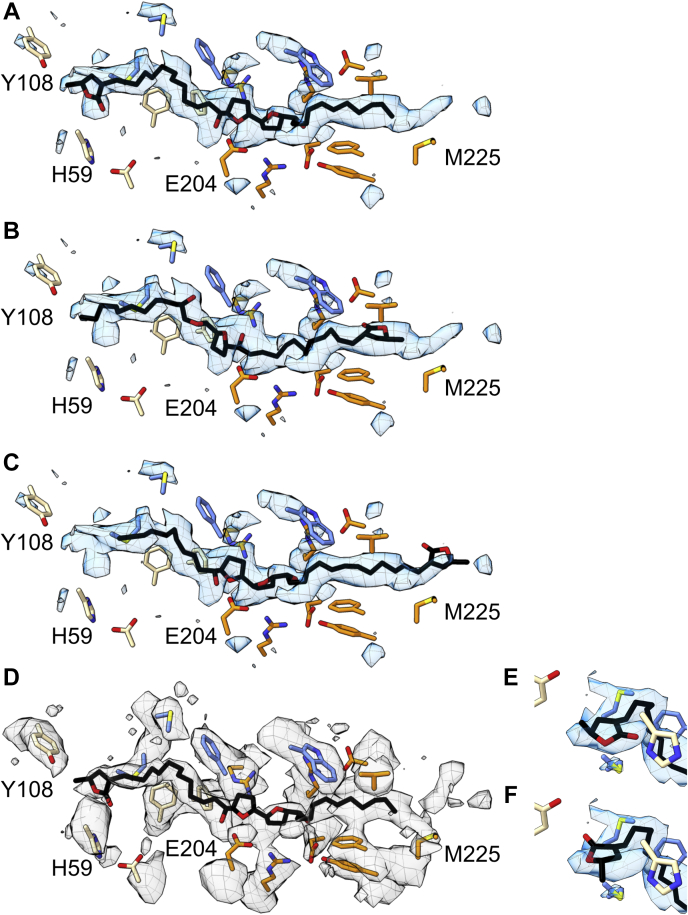 Figure 3