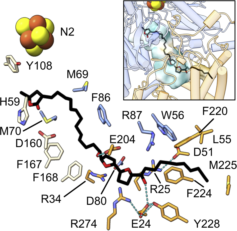 Figure 4