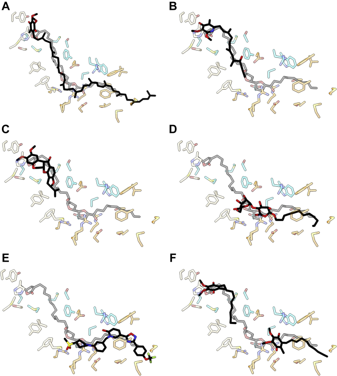 Figure 5