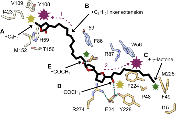 Figure 6