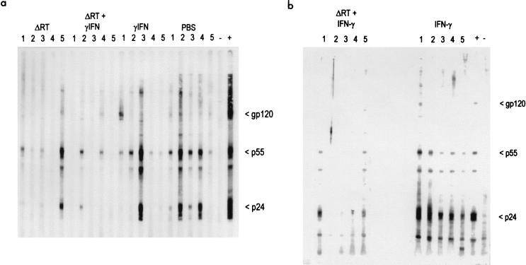 FIG. 7