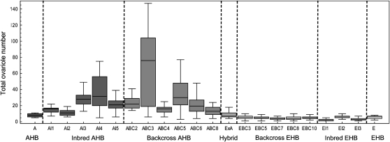 Figure 3.—