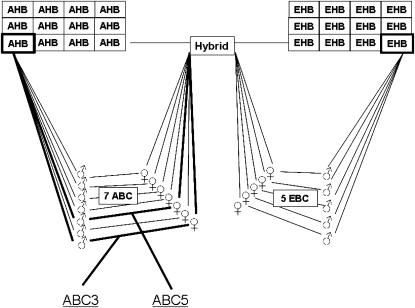 Figure 1.—