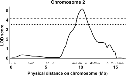 Figure 7.—