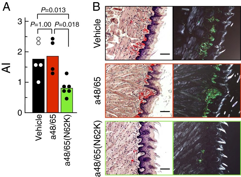 Fig. 8.