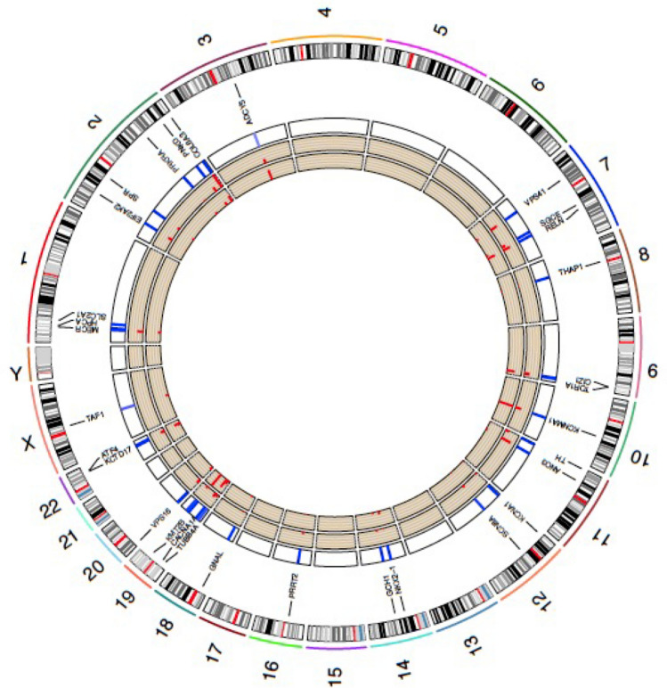 Fig. 2