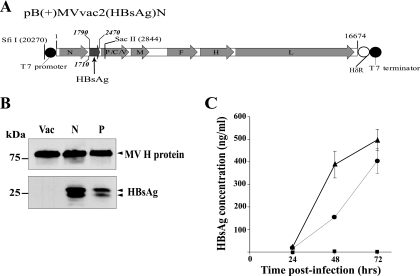 FIG. 1.