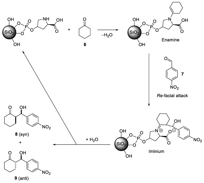 Scheme 4