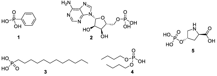 Scheme 2