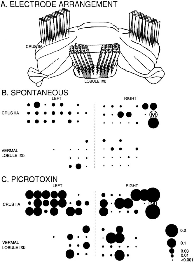 Fig. 8.