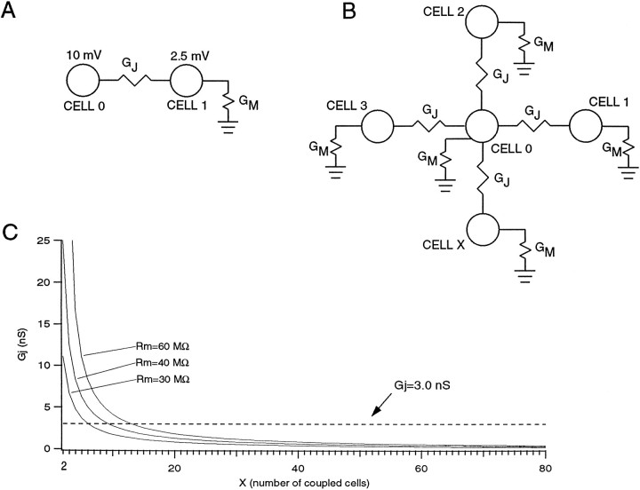 Fig. 10.