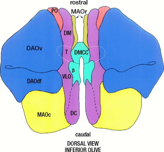 Fig. 9.