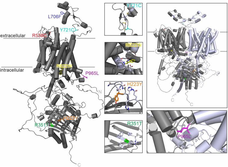 Figure 3
