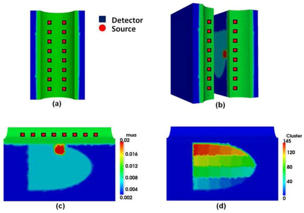 Fig. 1