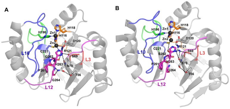 Figure 11