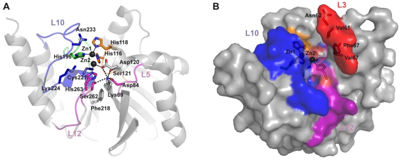 Figure 9