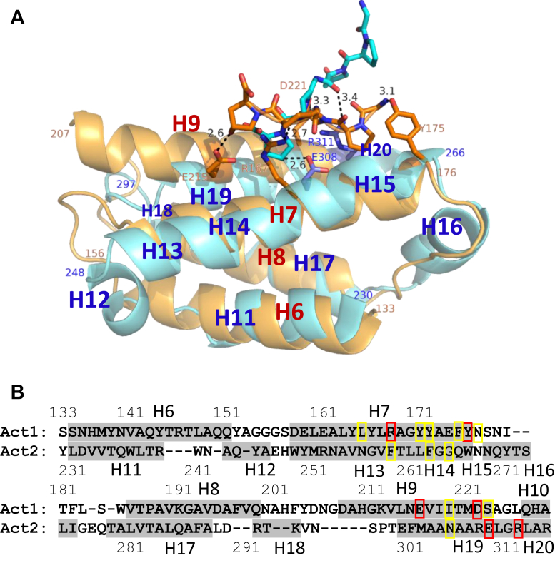 Figure 2