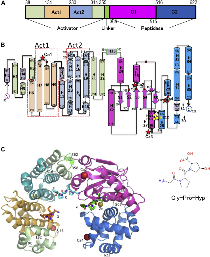 Figure 1