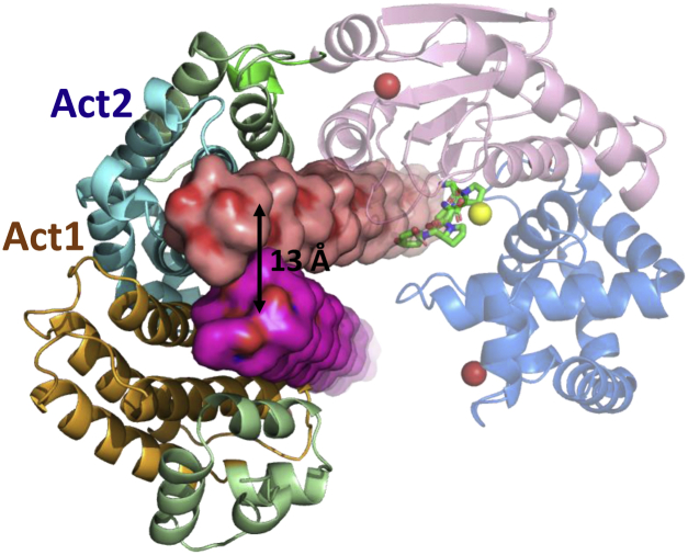 Figure 5