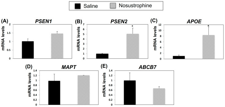 Figure 5