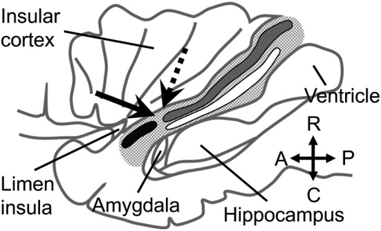 Fig. 2