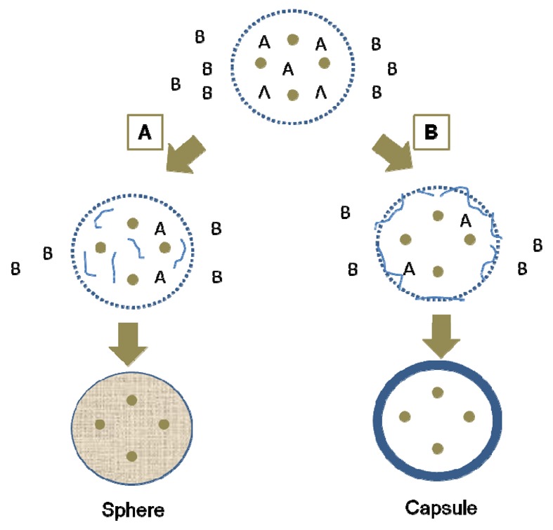 Figure 11.