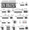 Extended Data Figure 3