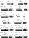 Extended Data Figure 2