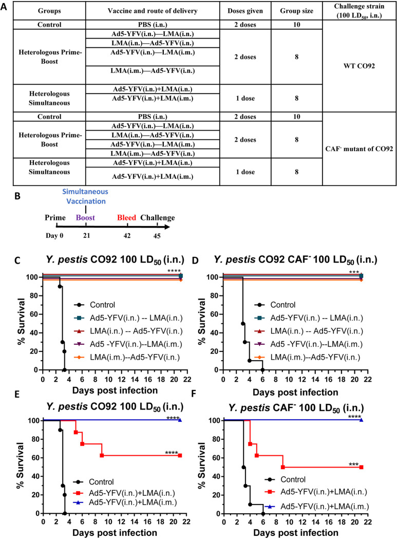 FIG 3