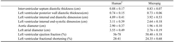 graphic file with name jvs-8-7-i006.jpg