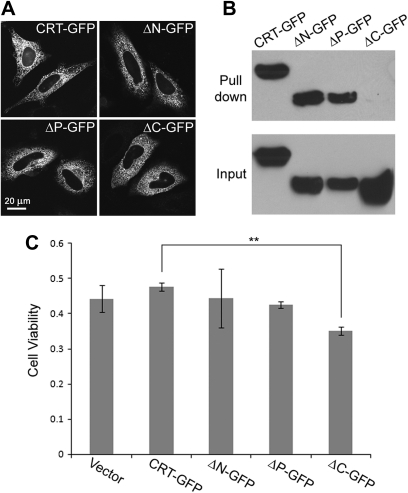 FIG. 7.