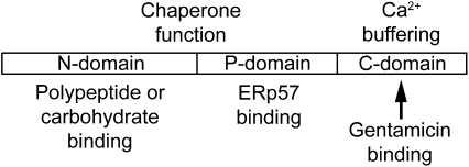 FIG. 8.