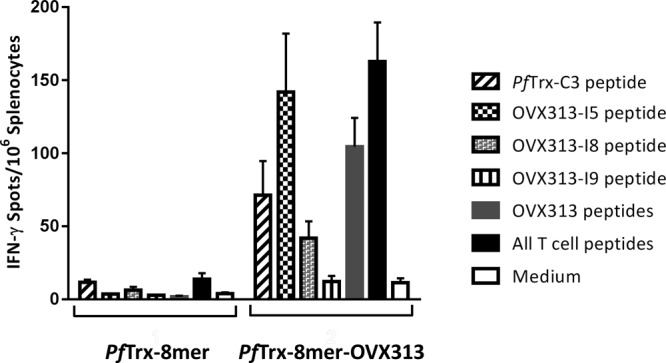 FIG 8