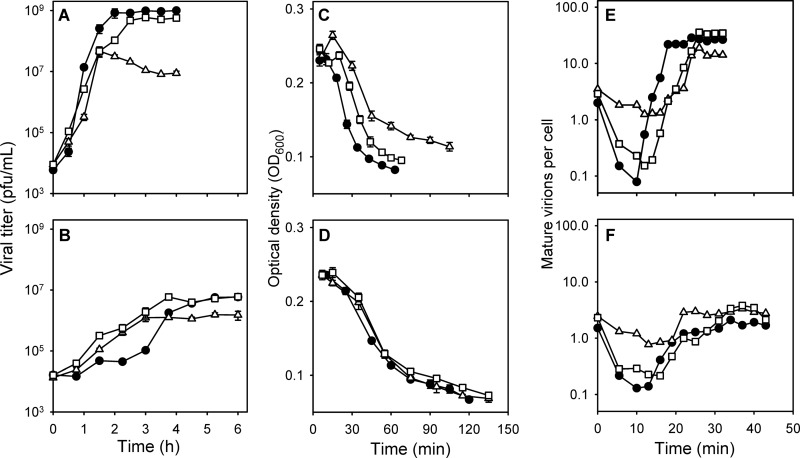 FIG 2