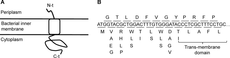 FIG 1