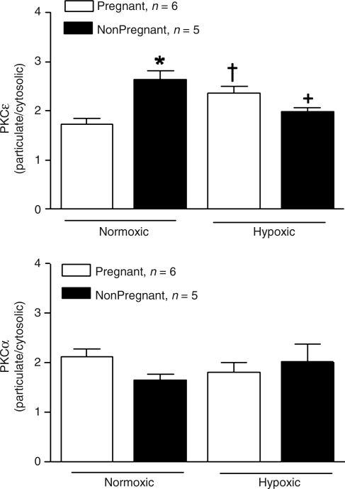 FIG. 6.