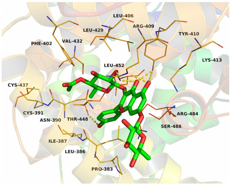 Figure 11