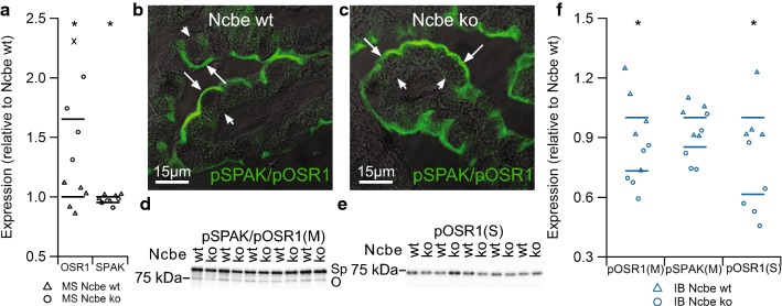 Fig. 6