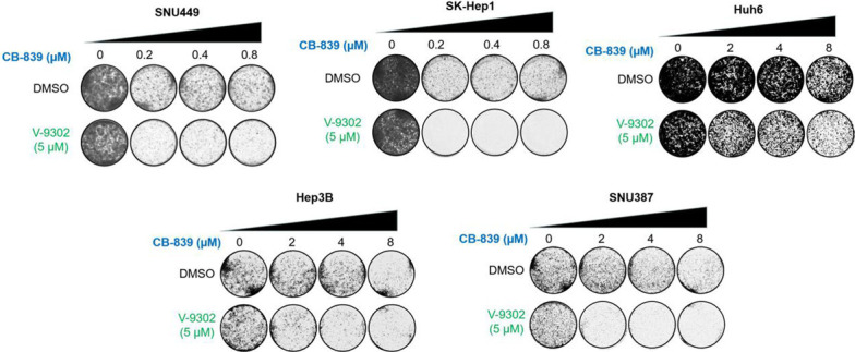 Figure 4—figure supplement 1.