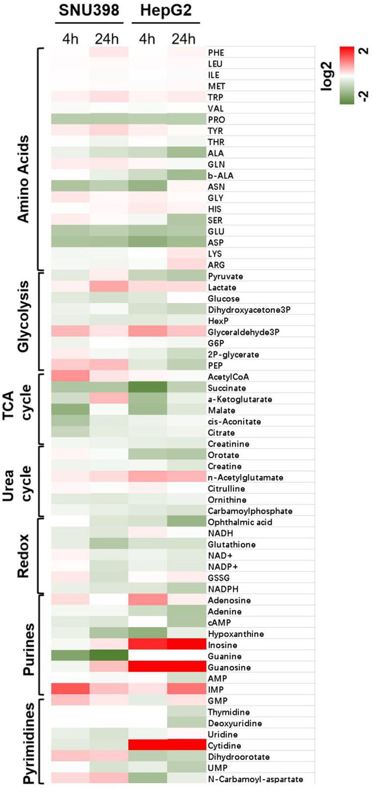 Figure 3—figure supplement 1.