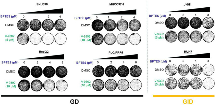 Figure 4—figure supplement 2.