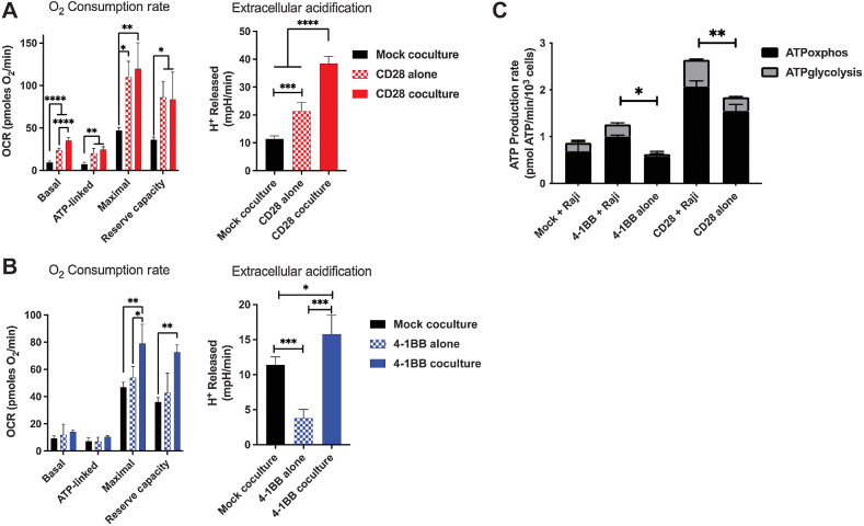 Figure 2. Target antigen stimulation of CD19-targeted CAR T cells increases phosphorus-driven cellular metabolic demand. Basal, ATP-linked, maximal, and reserve OCR and basal extracellular acidification were measured under basal metabolic conditions and in response to mitochondrial inhibitors, as specified in the methods after 24 hours of coculture of (A) CD28 or (B) 4–1BB CAR T cells with CD19+ Raji target cells. C, ATP production rate from oxidative phosphorylation and glycolysis normalized to cell density. Results are demonstrative of quintuplicate wells during independent experiment. *, P < 0.05; **, P < 0.01; ***, P < 0.001; ****, P < 0.0001; unpaired t test.