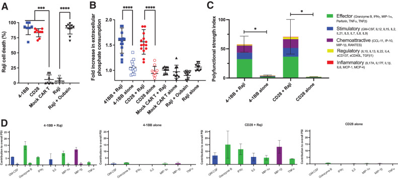 Figure 1. CD19-targeted CAR T cell–mediated cytotoxicity consumes extracellular phosphate in vitro. A, Tumor cell lysis during coculture killing assay. 4–1BB and CD28 CD19-targeted CAR T cells were cocultured with CD19+ Luciferase+ Raji tumor cells at a 10:1 effector:target ratio for 48 hours. Raji cells were also cocultured with the pro-apoptotic agent ouabin as a positive control. Cell death was measured via firefly luciferase luminescence compared with non-CD19–targeting mock CAR T cells cocultured with Raji cells (n = 9, 3 experiments). B, Phosphate content in the media from CAR T cells cultured alone or with CD19+ Raji target cells was quantified using a colorimetric assay and reported as a fold increase in phosphate consumption compared with the mock CAR T-cell coculture (41BB, CD28 CAR T n = 15, Mock n = 10; 5 experiments). C, 32-plex single-cell cytokine secretion profile of CD19-targeted CAR T cells in the presence or absence of Raji cells categorized into domains of cytokinetic polyfunctionality. PSI aggregates all single-cell multidimensional data into a single index, defined as the percentage of polyfunctional cells, multiplied by the sum of the mean fluorescence intensity of the proteins secreted by those cells, which are subdivided into different functional categories of cytokines (effector, stimulatory, chemoattractive, regulatory, and inflammatory cytokines). The aggregate cytokine secretome PSI of T cells bearing either the 41BB or CD28 CD19-targeted CAR constructs were significantly increased in the presence of their target antigen (n = 3). D, The PSI composition further uncovers GM-CSF, Granzyme B, IFNγ, IL5, MIP-1α, MIP-1β, and TNFα as the major drivers for the increased antigen-driven PSI. Profiles were broken down by cytokine, between functional categories, to reveal the specific proteins driving the PSI. Data are plotted as mean ± SEM. *, P < 0.05; ***, P < 0.001; ****, P < 0.0001; unpaired t test.