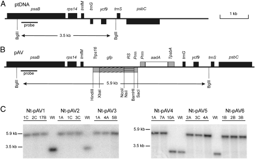 Fig. 3.