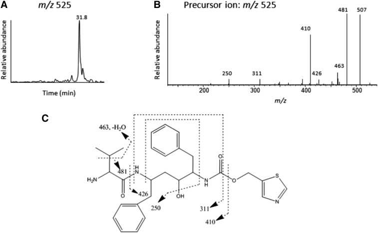 Fig. 10.