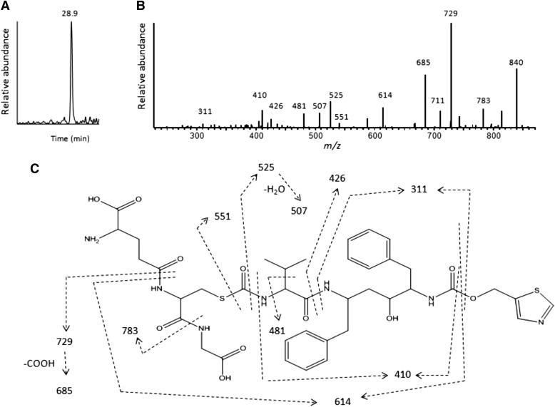 Fig. 9.