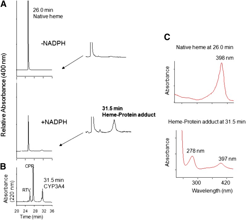 Fig. 8.